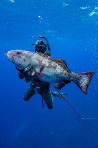 Spearfishing in Tonga